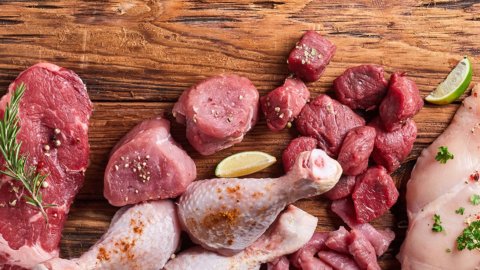 Protein and Ketosis