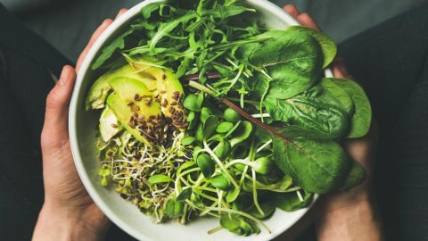 Vegan-Veg