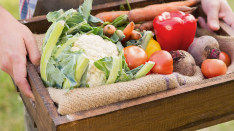 What Vegetables Can I Eat on Ketosis