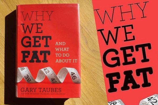 Why We Get Fat