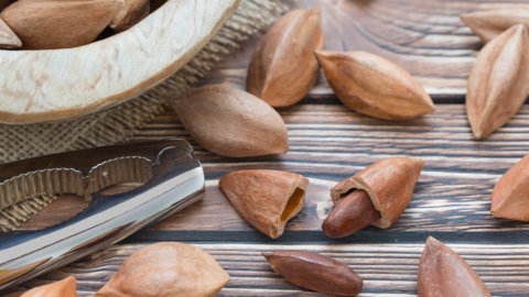 Pili Hunters Pili Nuts