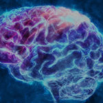 The Ketogenic Diet for Neurological Disorders Ketogenic Diet for Neurological Disorders