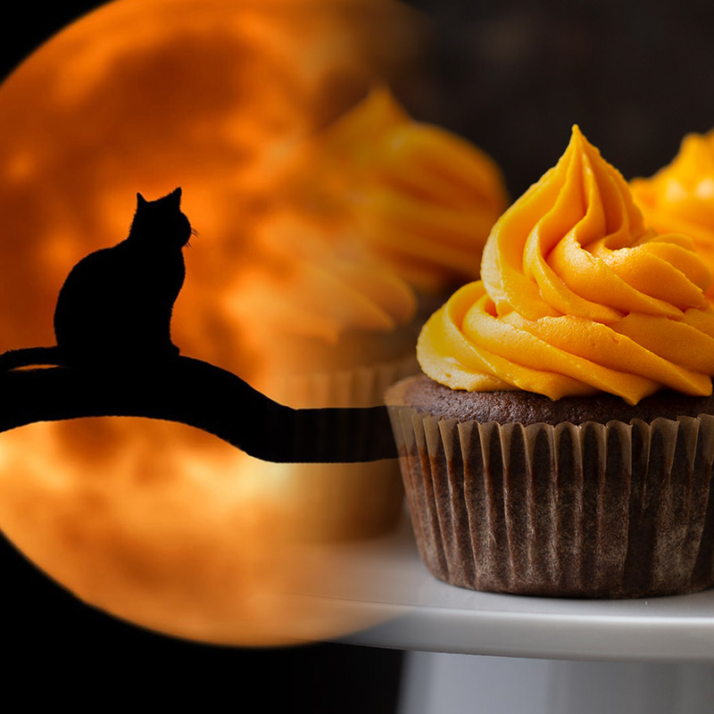 Tips For a Happy Halloween