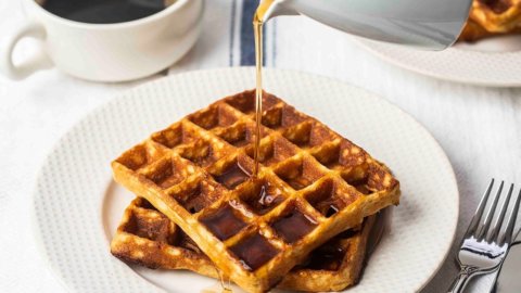 Kept Breakfast Waffles Recipe