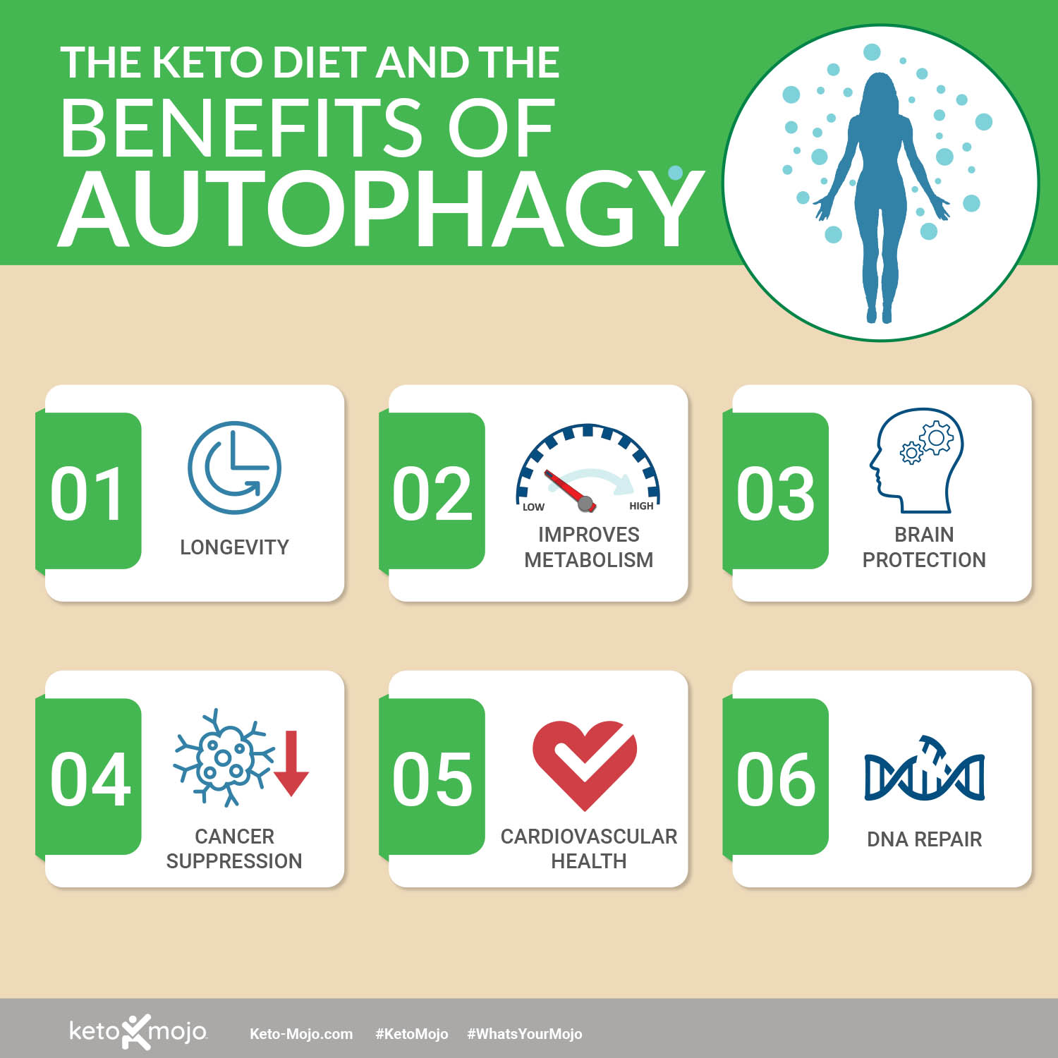 Keto Mojo Autophagy