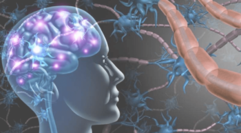 Brain Image