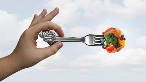 Ketogenic Metabolic Therapy for Mental Health Disorders - Food on a Fork Brain.