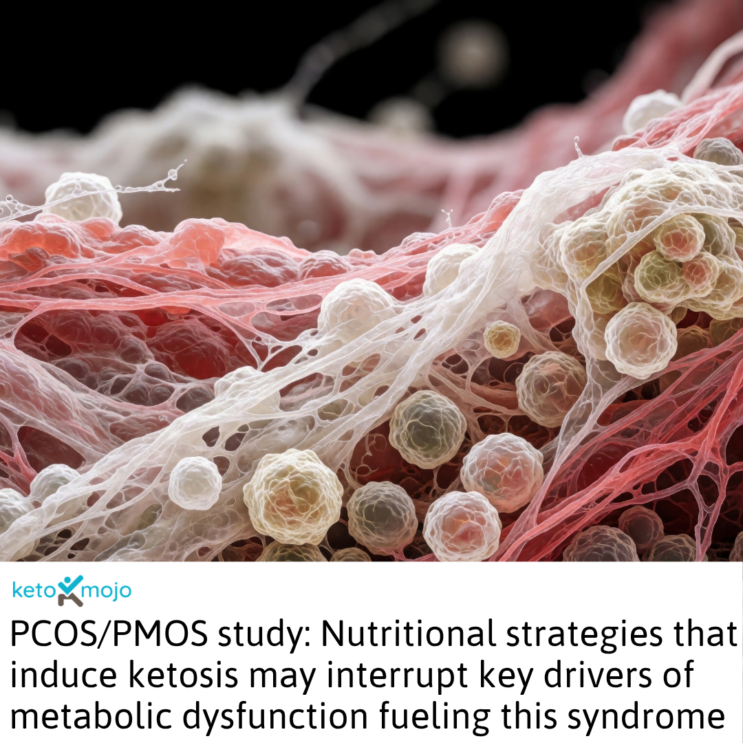Research Summary Breaking the metabolic-inflammatory vicious cycle in polycystic ovary syndrome: a comparative review of ketogenic and high-fat diets