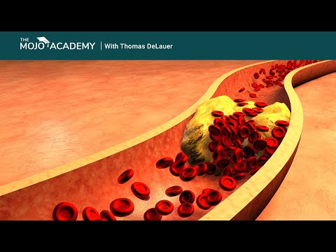 verhoogt keto het cholesterol