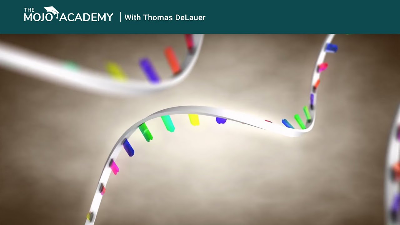 how-ketones-may-not-only-be-fueling-us-but-changing-our-gene-expression