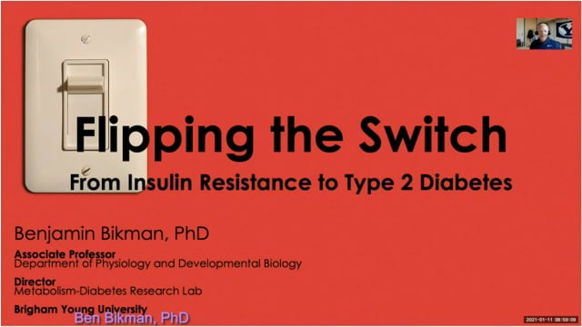 insulineresistentie-type-2-diabetes