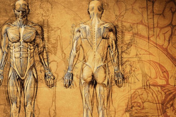 The History of the Keto Diet 