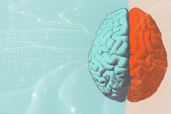 Research Alert: Is the Ketogenic Diet a Viable Treatment for Schizophrenia?