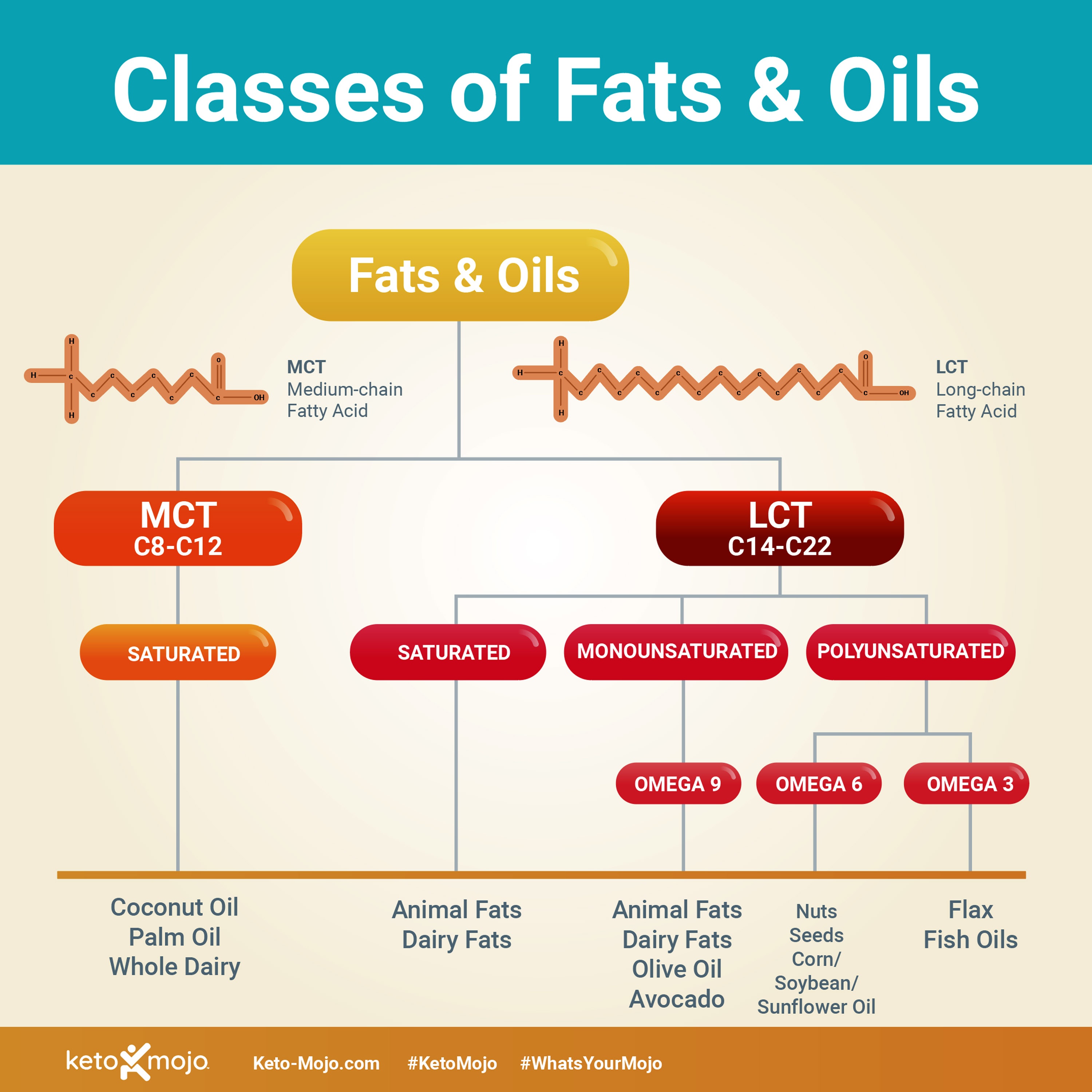Keto-Mojo: Classes of fats and oils
