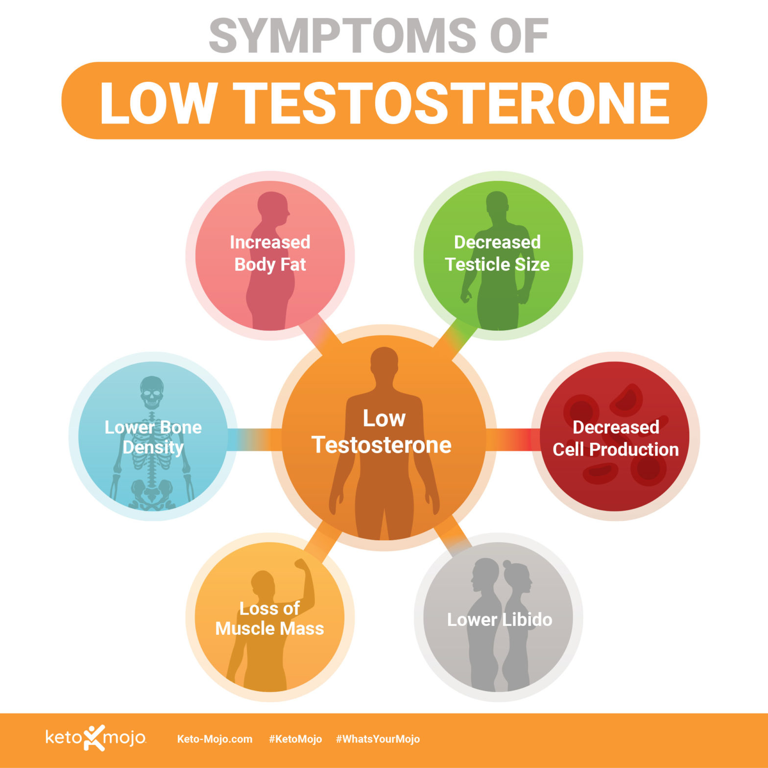 How Does the Keto Diet Affect Testosterone? – KETO-MOJO