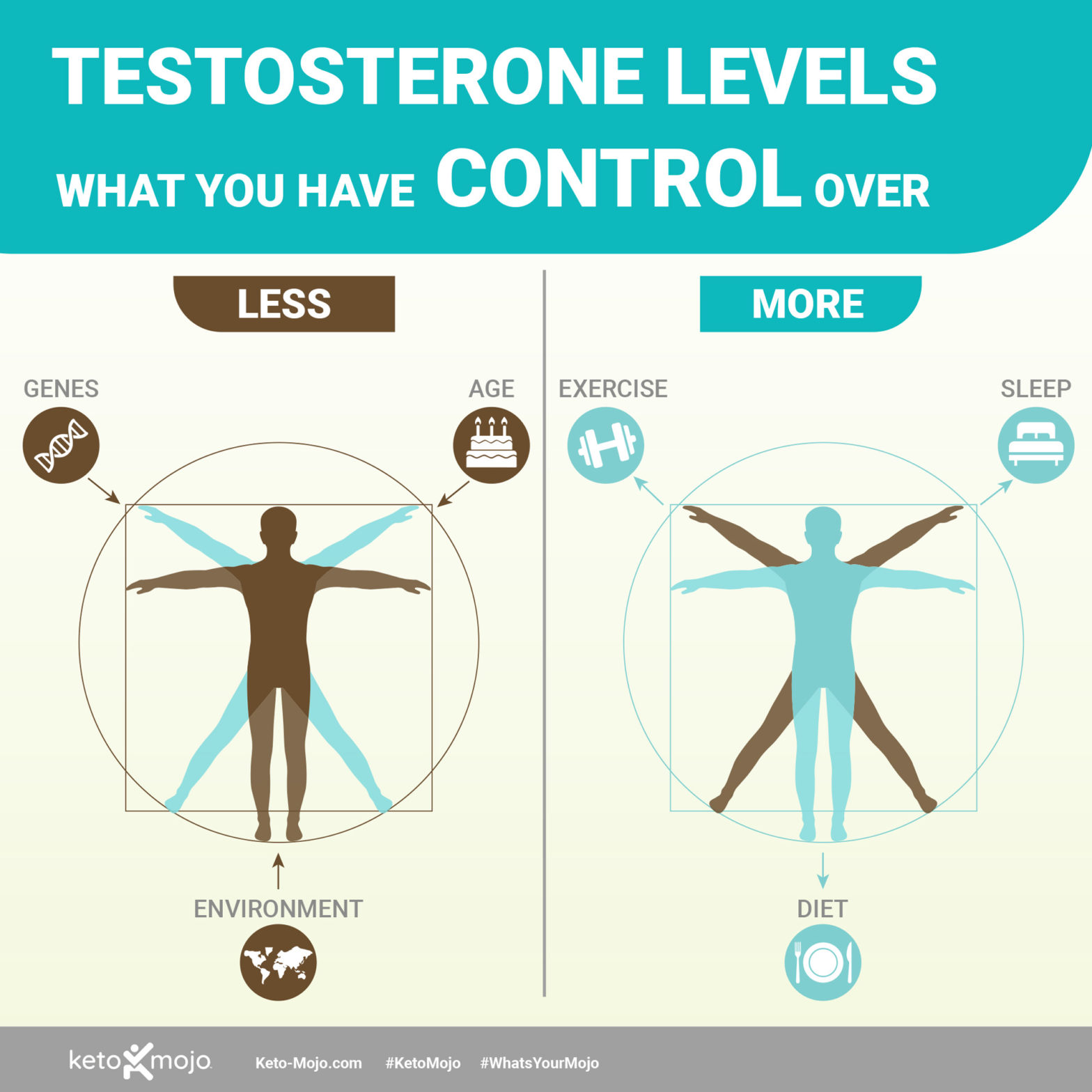 How Does the Keto Diet Affect Testosterone? KETOMOJO