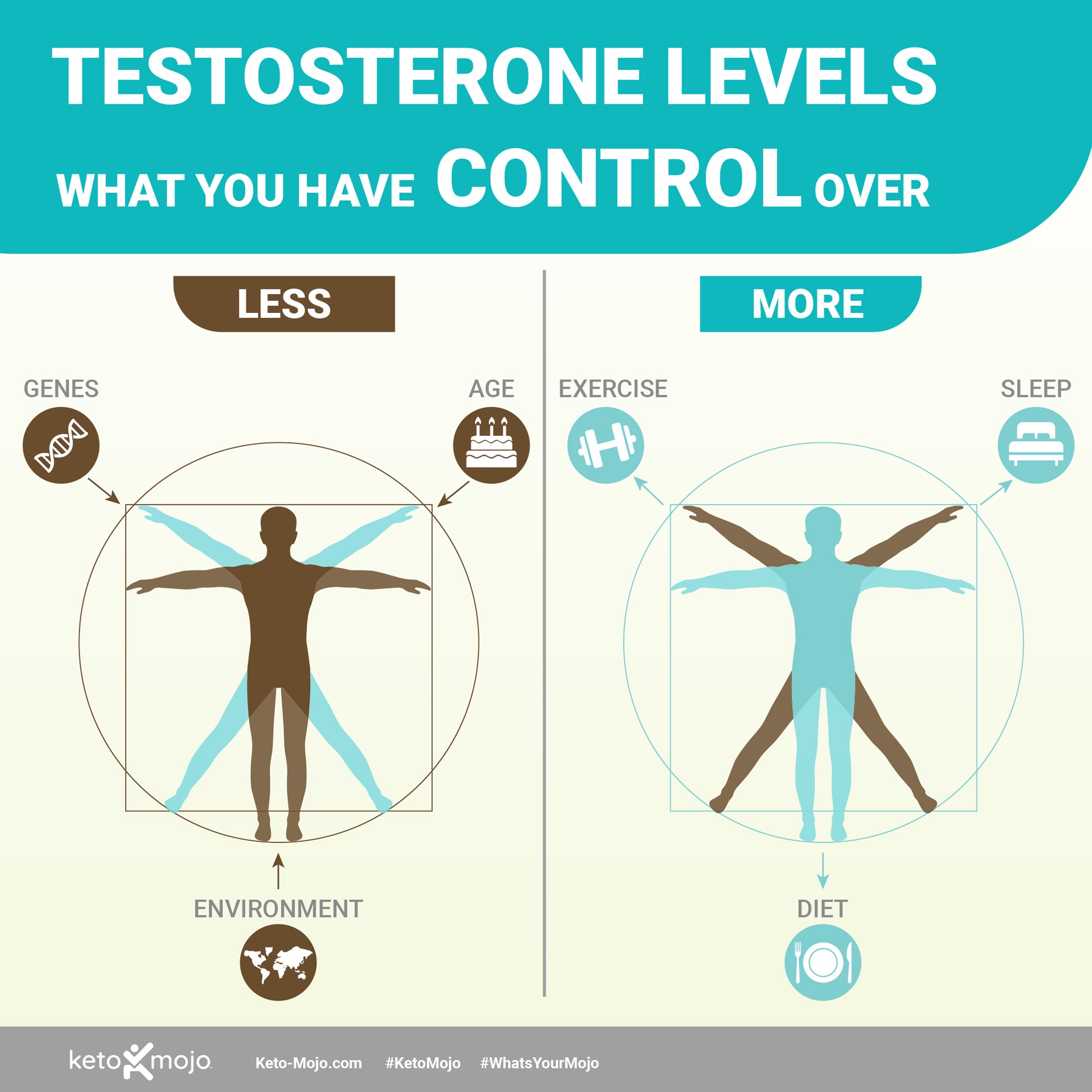 Testosterone Controls