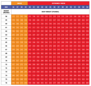 BMI, BMR & Lean Body Mass vs. Fat Body Mass? | KETO-MOJO