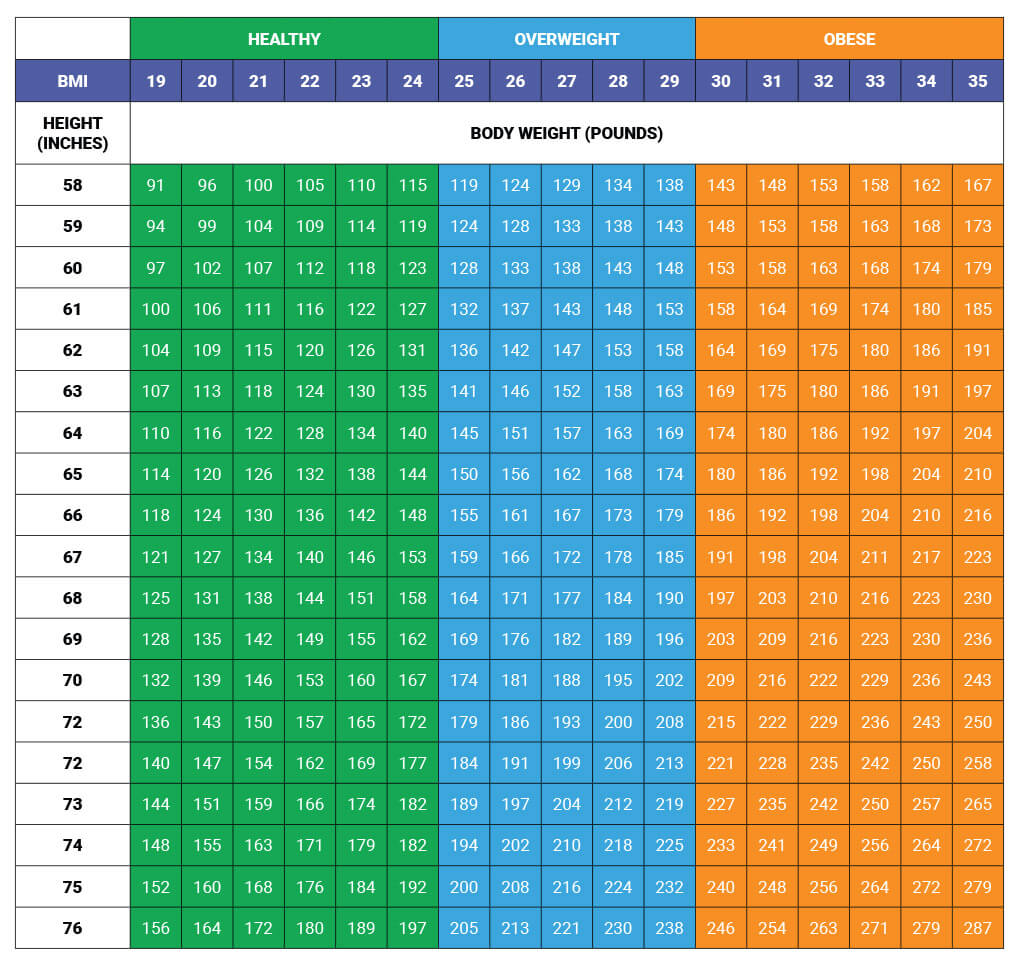 online bmr calculator