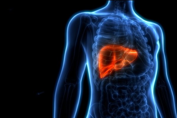 Is the Keto Diet Safe for Your Liver?