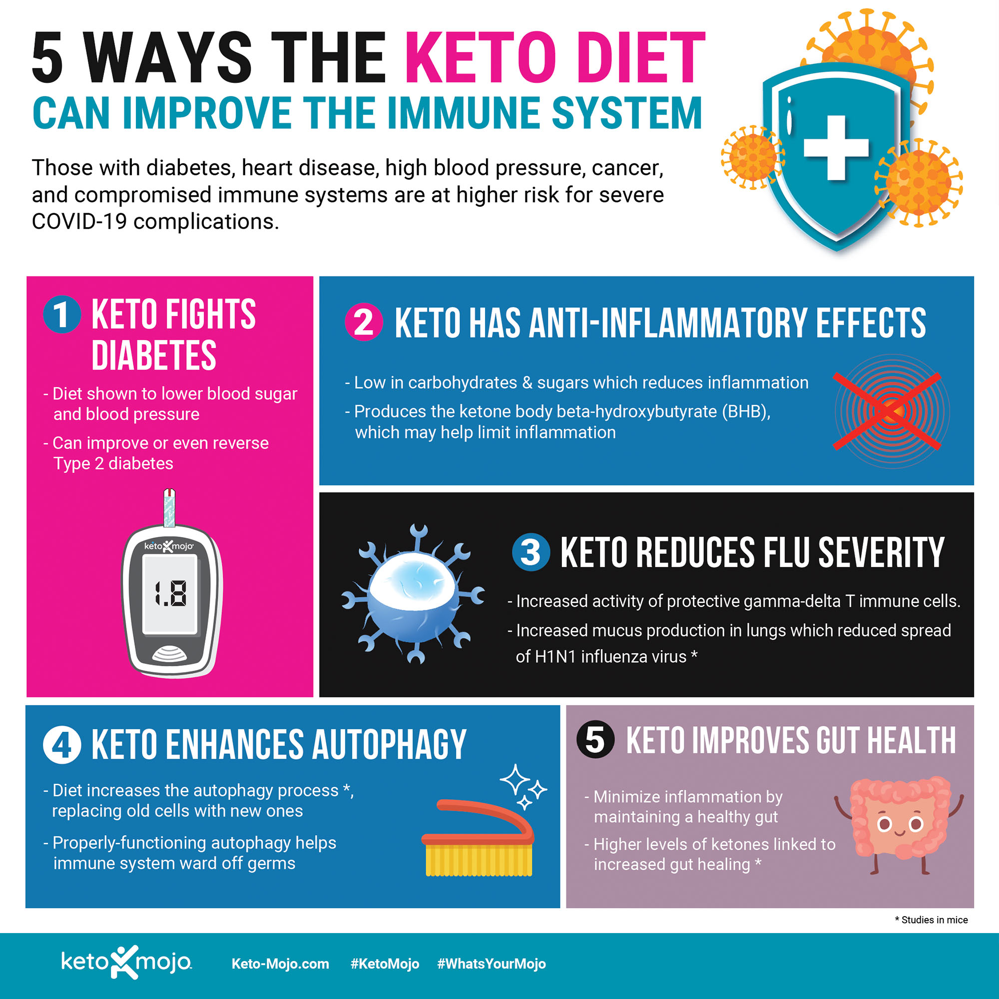 Keto-Mojo-KetoDiet-ImmuneSystem