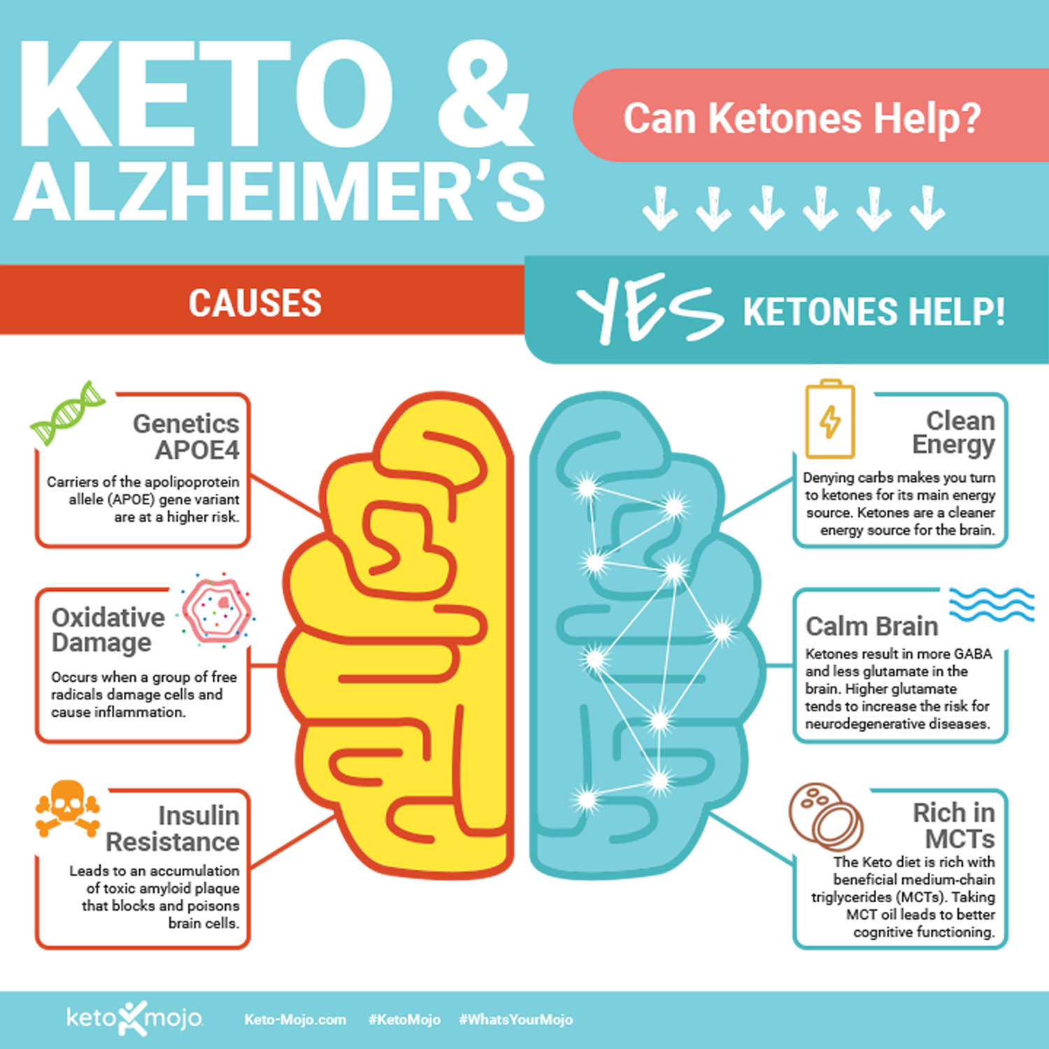 Keto-Mojo Alzheimers