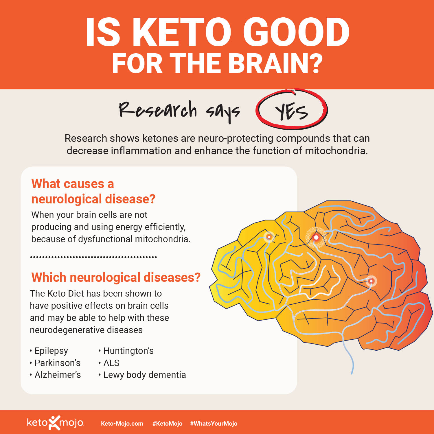 Keto-Mojo Brain