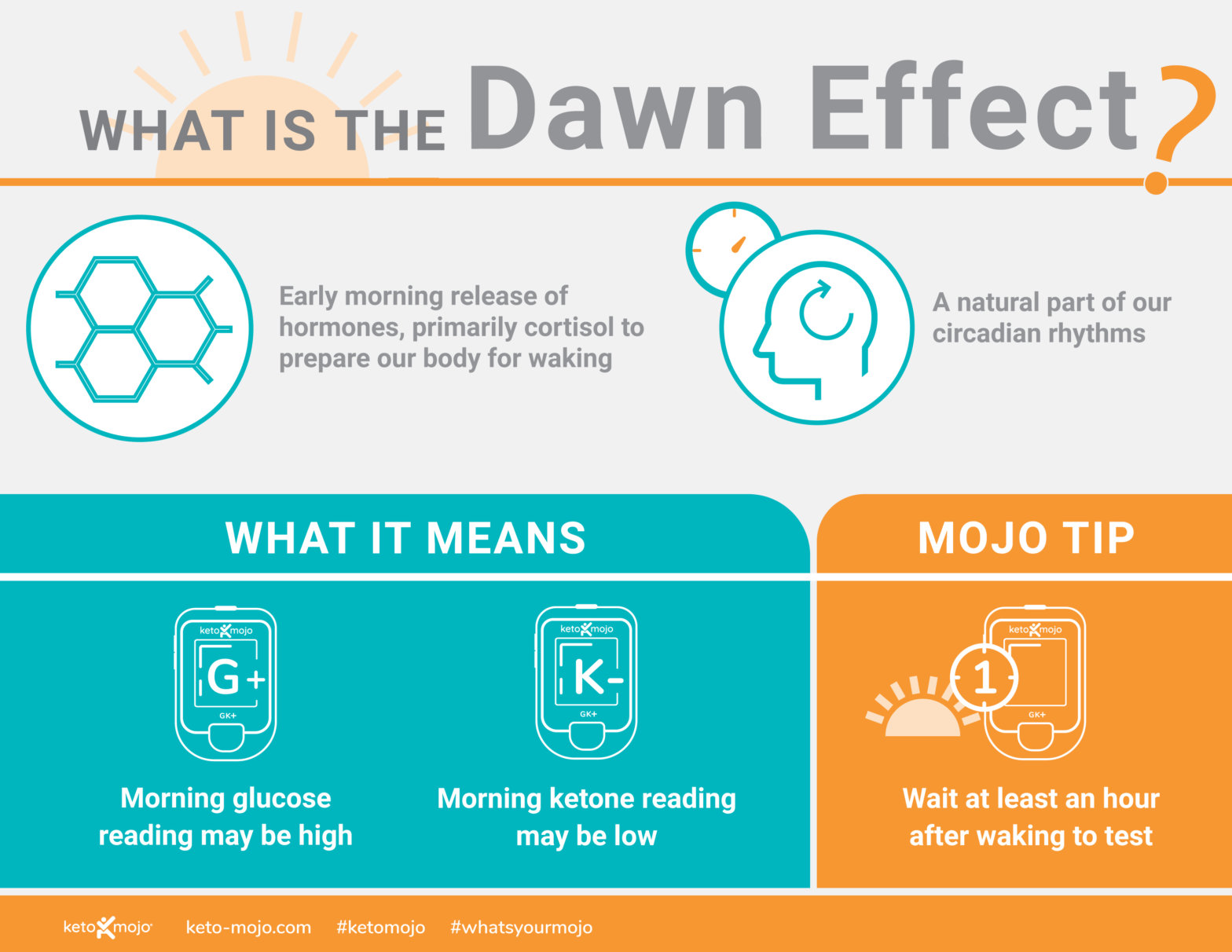 Testing What is the Effect? Low Morning Ketones KETOMOJO
