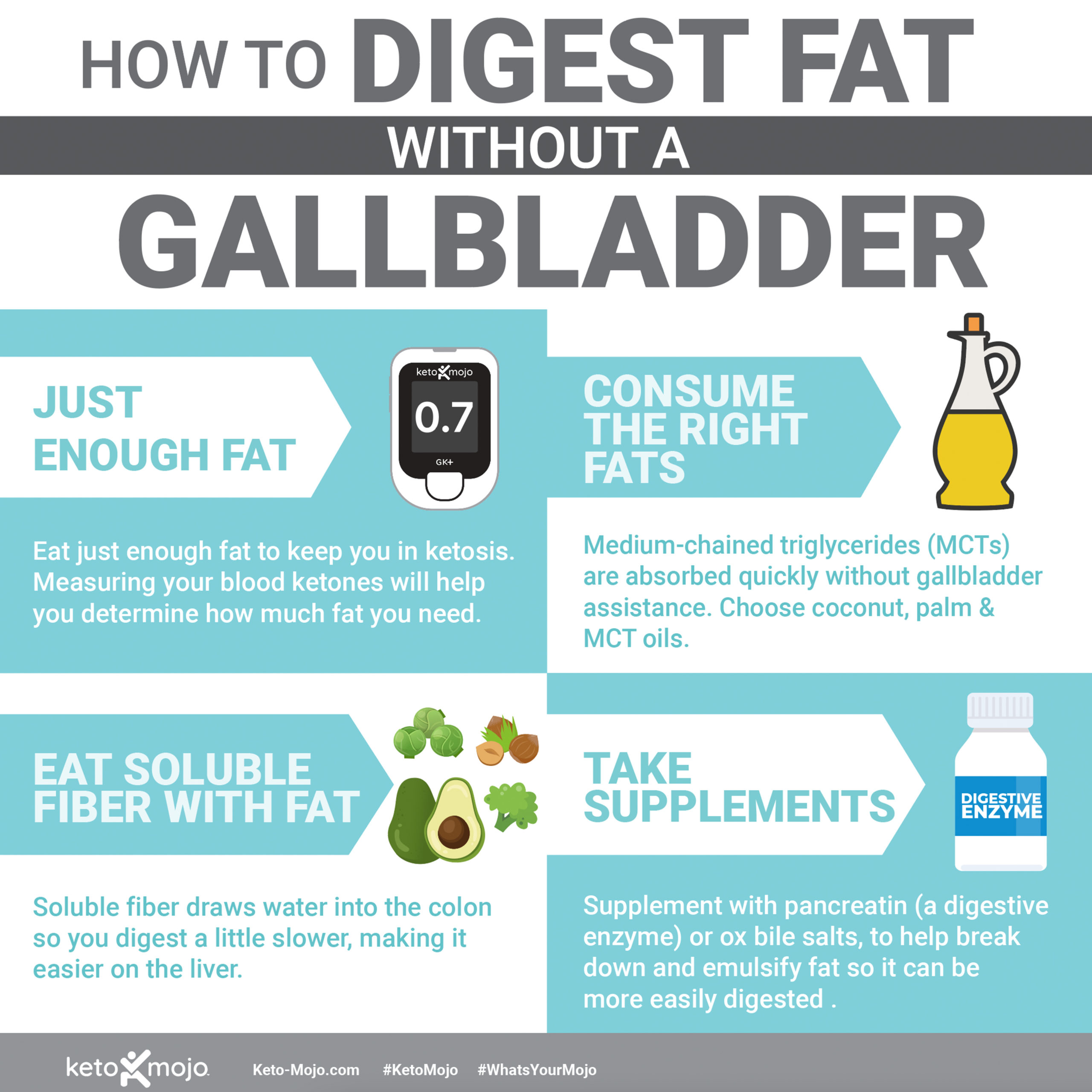 Digest Digesting Fat Without a Gallbladder