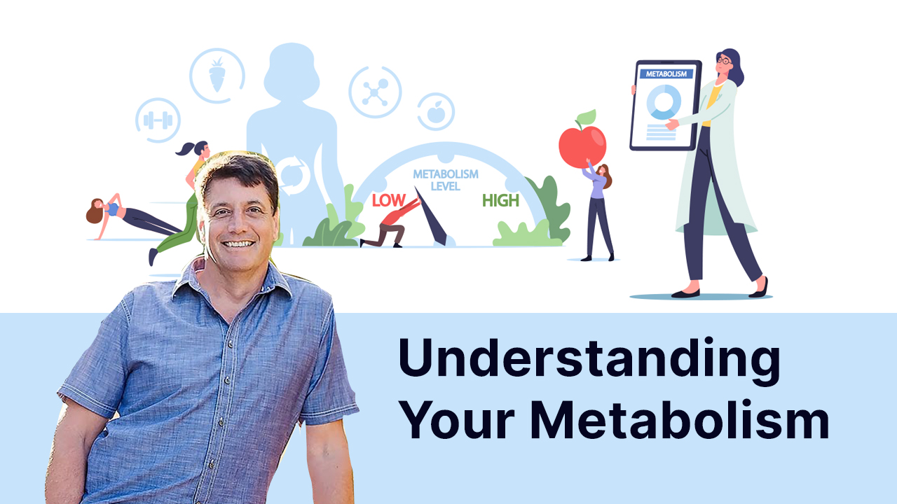 understanding-your-metabolism