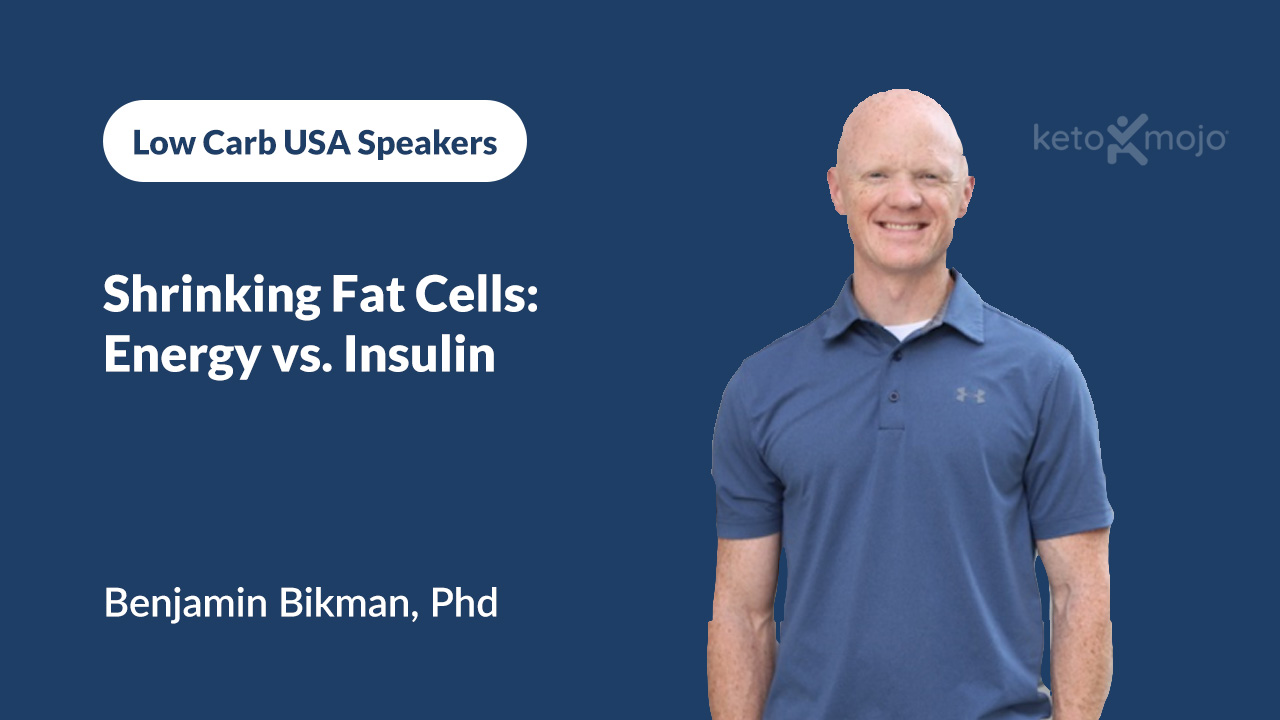 shrinking-fat-cells-energy-vs-insulin