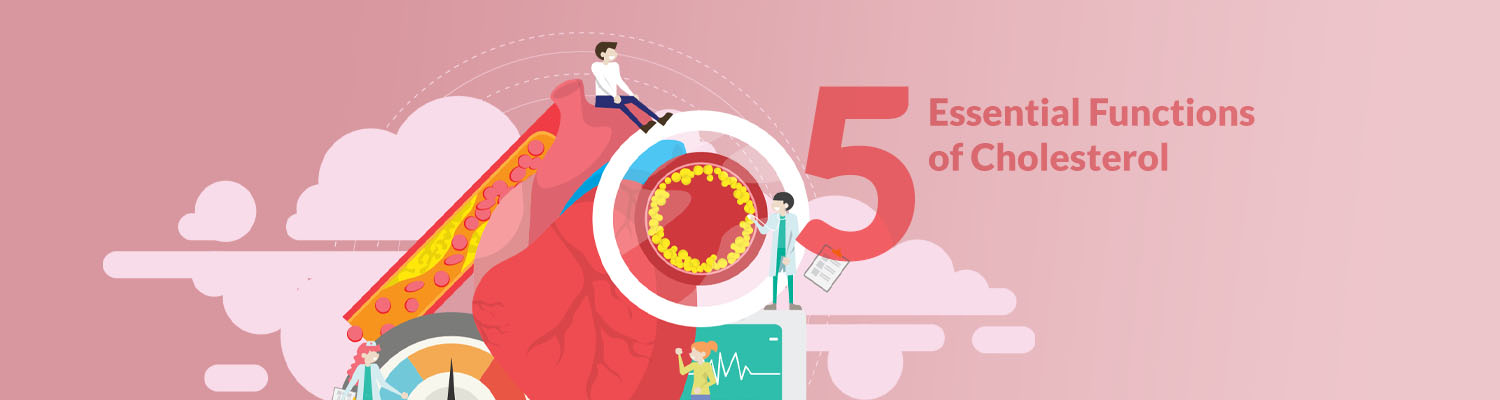 Five Essential Functions of Cholesterol