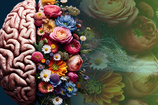 So You Have Parkinson’s Disease—Now What?: An Eight-Year Research Review into Metabolic Health and Hope