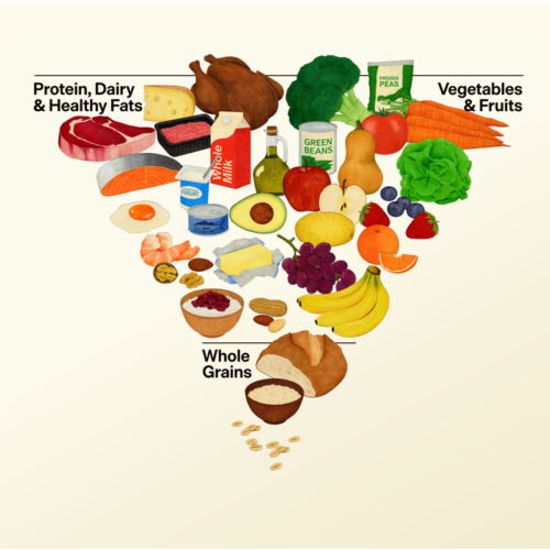 New DGA for Metabolic Health