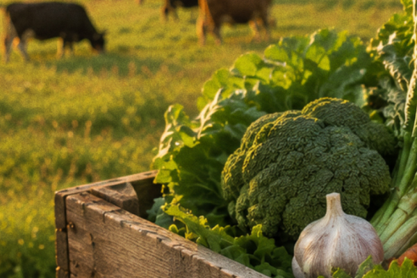 Article Banner Reforming the Farm Bill for a Healthier Food System