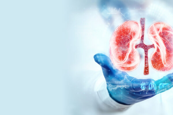 Ketogenic Diets in Chronic Kidney Disease