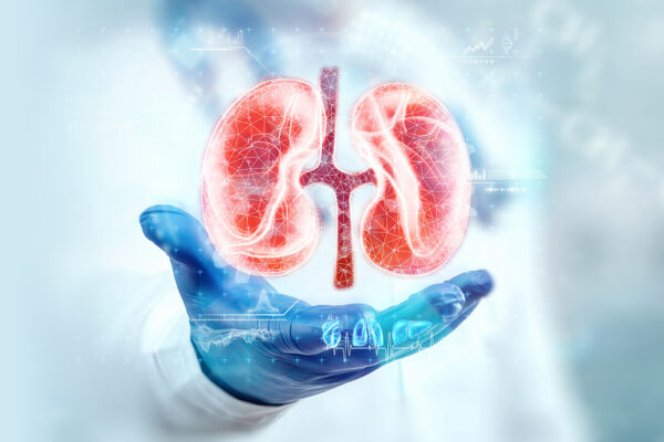 Keto and Kidney Disease