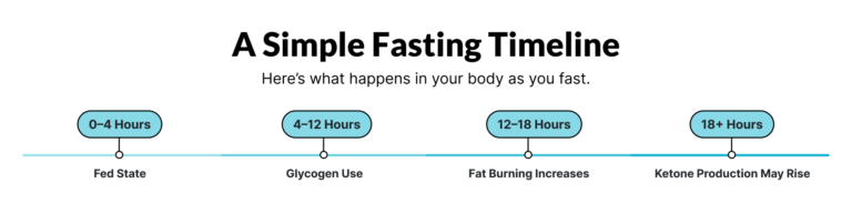 Article Infographic When Do You Start Burning Fat During Intermittent Fasting?