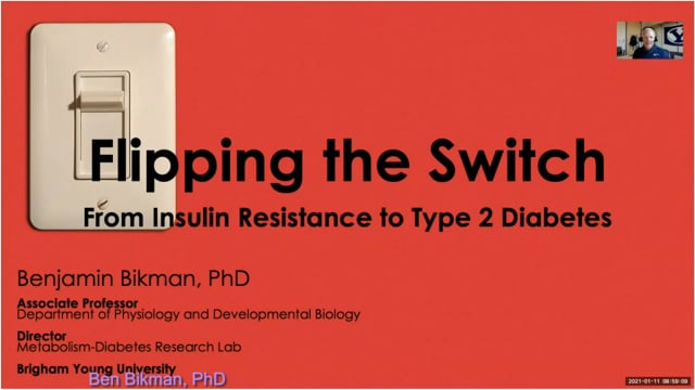 insulin-resistance-type-2-diabetes